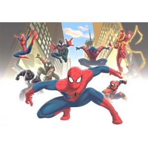 Принт Spiderman 17 